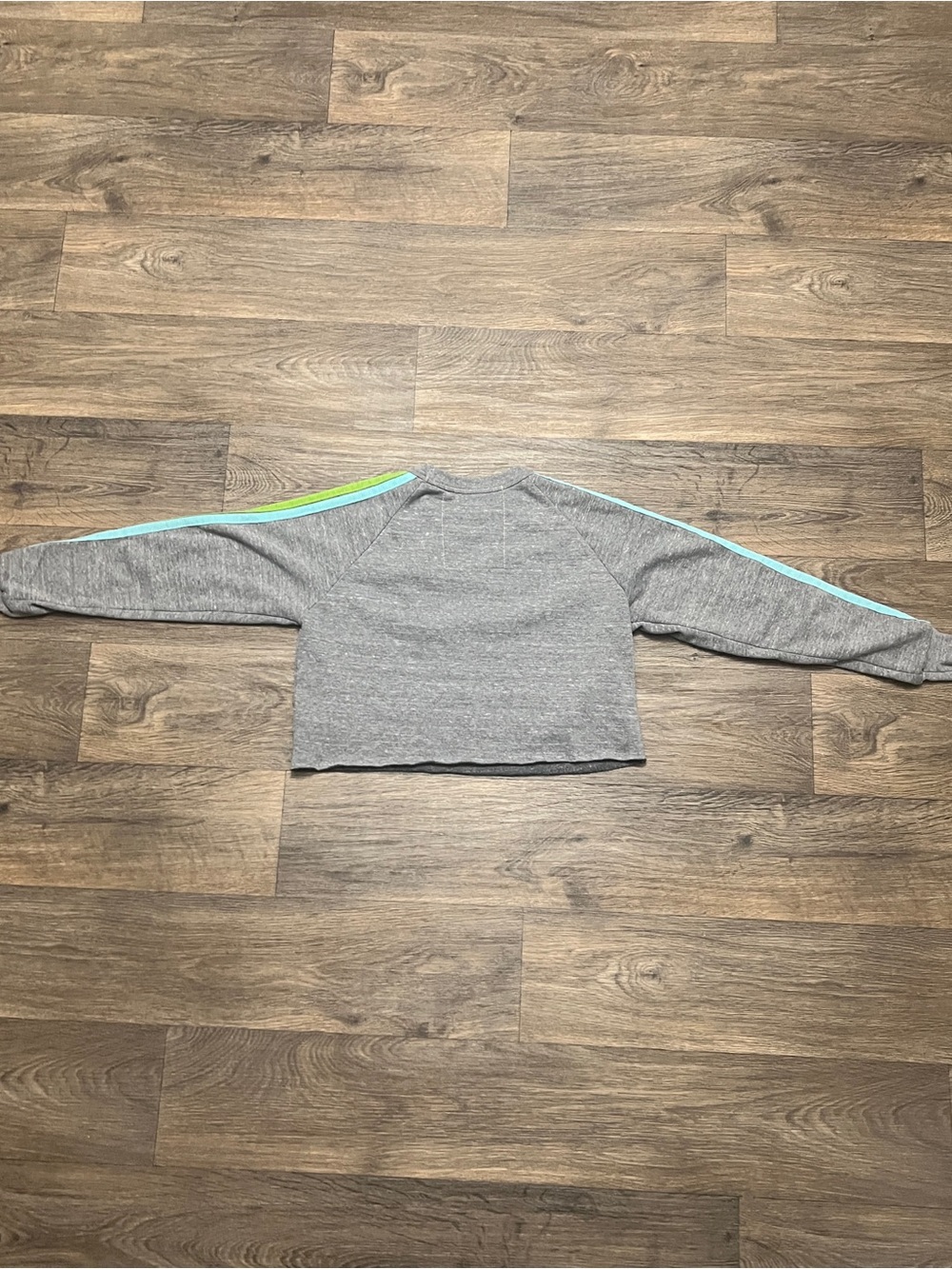 Aviator Nation Gray Cropped Sweatshirt Size XS Pastel 5 Stripe Pink Bolt Blue - Picture 6 of 6